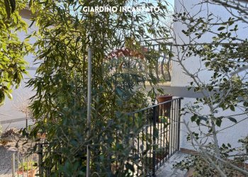 GIARDINO - Villa STRADE DELLE MINIERE
 
9, Scansano - foto 69