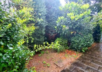 Giardino - Villa via Monte Bianco, Arese - foto 9