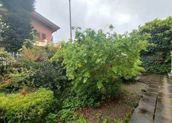 Giardino - Villa via Monte Bianco, Arese - foto 12