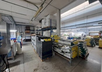 Interno non residenziale - Capannone via Enrico Mannelli, Signa - foto 14