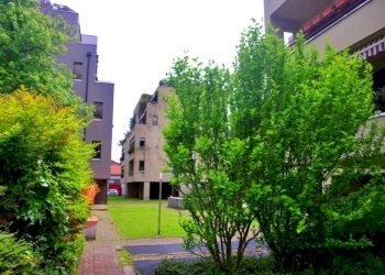 Giardino - Trilocale viale delle Rimembranze, 1, Busto Arsizio - foto 1