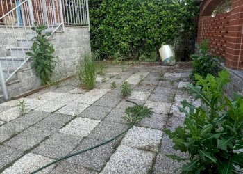 Giardino - Villa a Schiera via Caduti di Nassiriya, 25, Poirino - foto 16