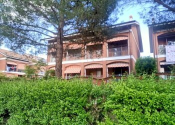 Giardino - Villa a Schiera via Caduti di Nassiriya, 25, Poirino - foto 2