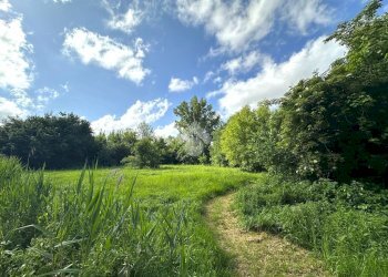 Casa indipendente Via Rubadello, Medolla - foto 34