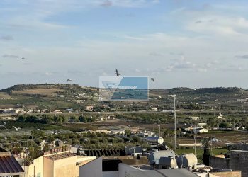 Appartamento Via Immacolata n, Rosolini - foto 39