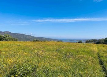 Casale Olbia - foto 4