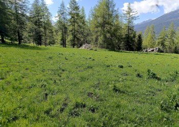 Baita Borgata Te Nou, snc, Sampeyre - photo 4