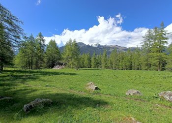 Baita Borgata Te Nou, snc, Sampeyre - photo 5