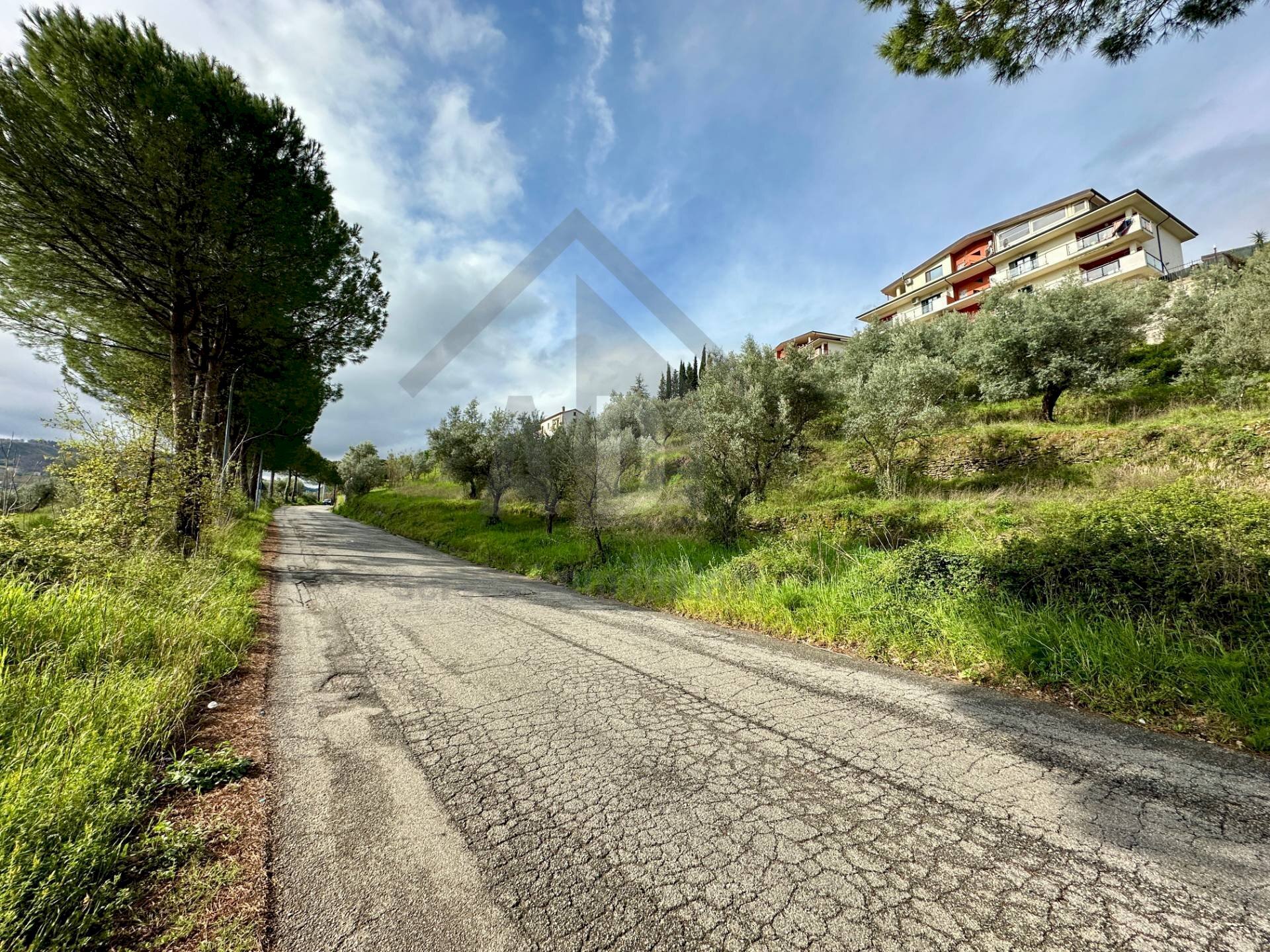 Foto 2 - Terreno agricolo viale virgilio, Mendicino - foto 2