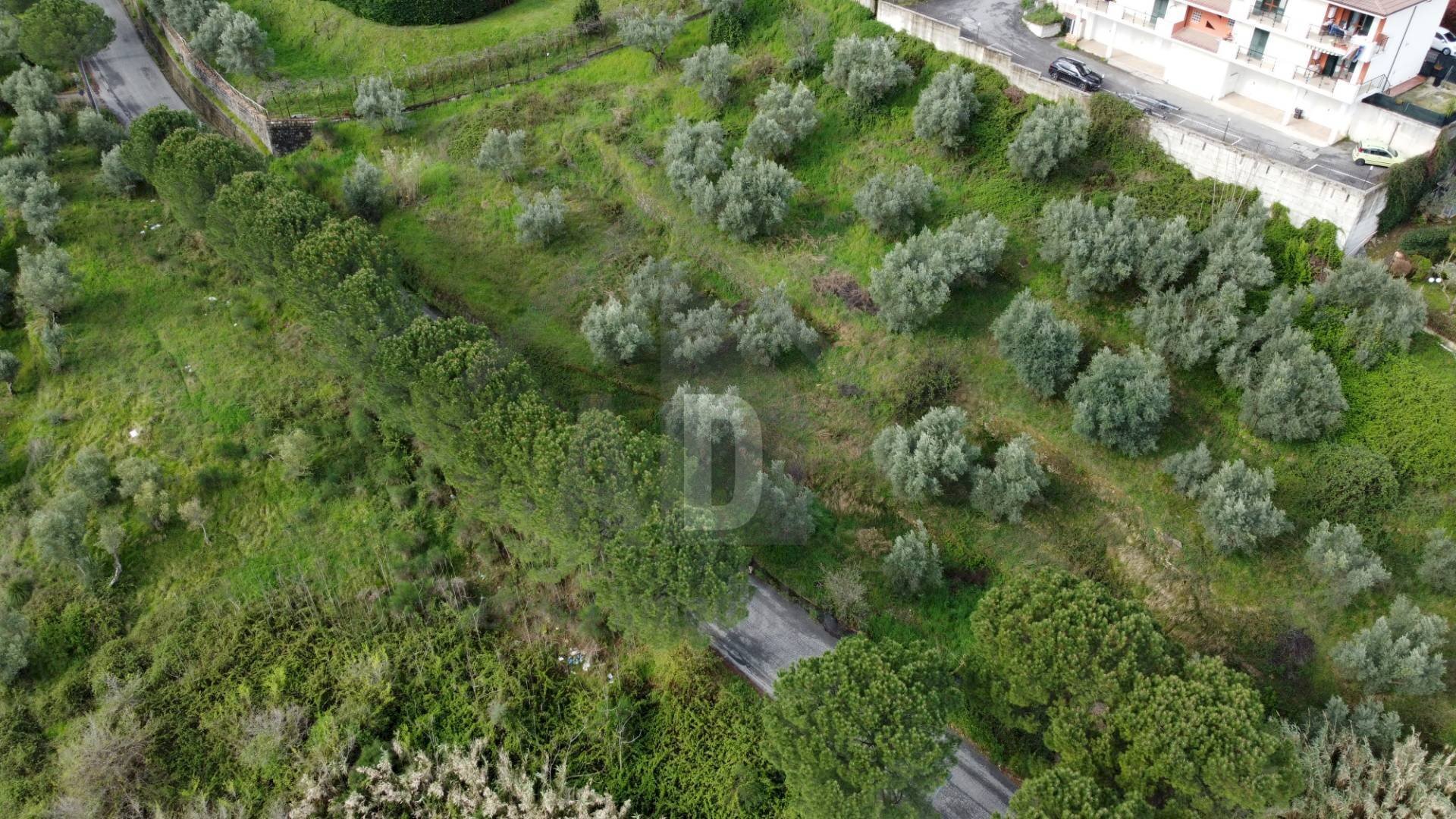 Foto 3 - Terreno agricolo viale virgilio, Mendicino - foto 3