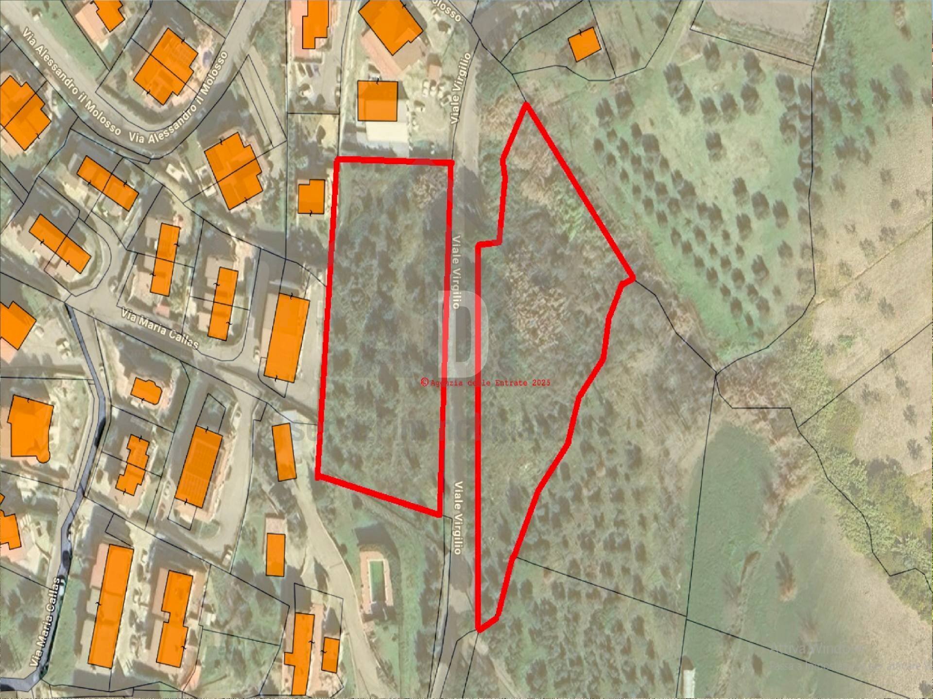 Foto 25 - Terreno agricolo viale virgilio, Mendicino - planimetria 1