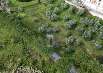 Foto 3 - Terreno agricolo viale virgilio, Mendicino - foto 3