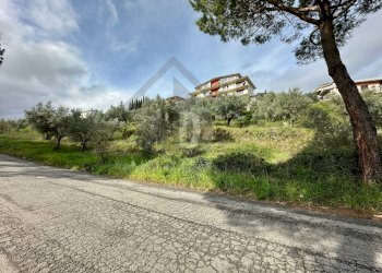 Foto 4 - Terreno agricolo viale virgilio, Mendicino - foto 4