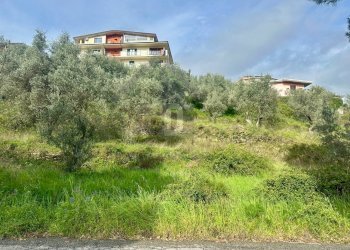 Foto 6 - Terreno agricolo viale virgilio, Mendicino - foto 6