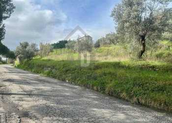 Foto 7 - Terreno agricolo viale virgilio, Mendicino - foto 7