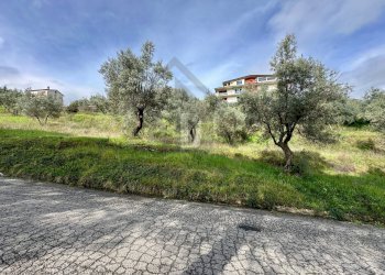 Foto 8 - Terreno agricolo viale virgilio, Mendicino - foto 8