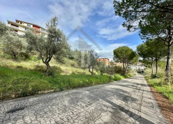 Foto 9 - Terreno agricolo viale virgilio, Mendicino - foto 9