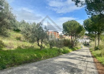 Foto 10 - Terreno agricolo viale virgilio, Mendicino - foto 10