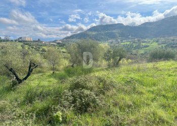 Foto 11 - Terreno agricolo viale virgilio, Mendicino - foto 11