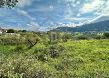 Foto 12 - Terreno agricolo viale virgilio, Mendicino - foto 12