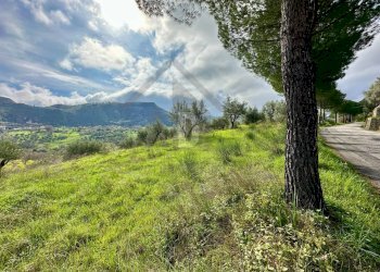 Foto 13 - Terreno agricolo viale virgilio, Mendicino - foto 13