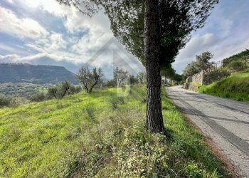 Foto 14 - Terreno agricolo viale virgilio, Mendicino - foto 14