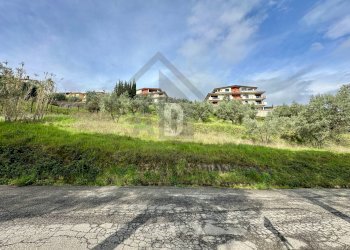 Foto 15 - Terreno agricolo viale virgilio, Mendicino - foto 15