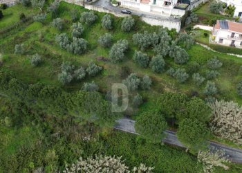 Foto 16 - Terreno agricolo viale virgilio, Mendicino - foto 16