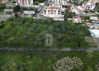 Foto 18 - Terreno agricolo viale virgilio, Mendicino - foto 18