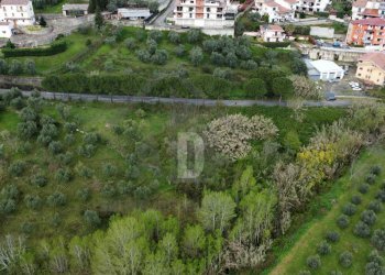 Foto 19 - Terreno agricolo viale virgilio, Mendicino - foto 19