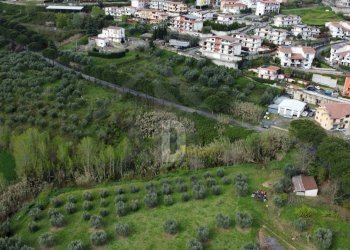 Foto 21 - Terreno agricolo viale virgilio, Mendicino - foto 21