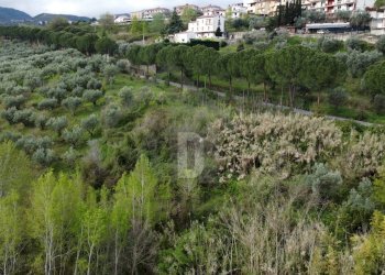 Foto 24 - Terreno agricolo viale virgilio, Mendicino - foto 24