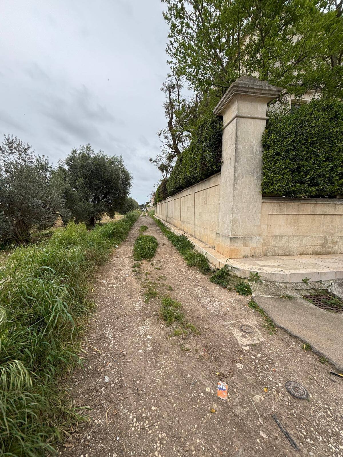 Foto 2 - Terreno edificabile Palagiano - foto 2