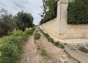 Foto 2 - Terreno edificabile Palagiano - foto 2