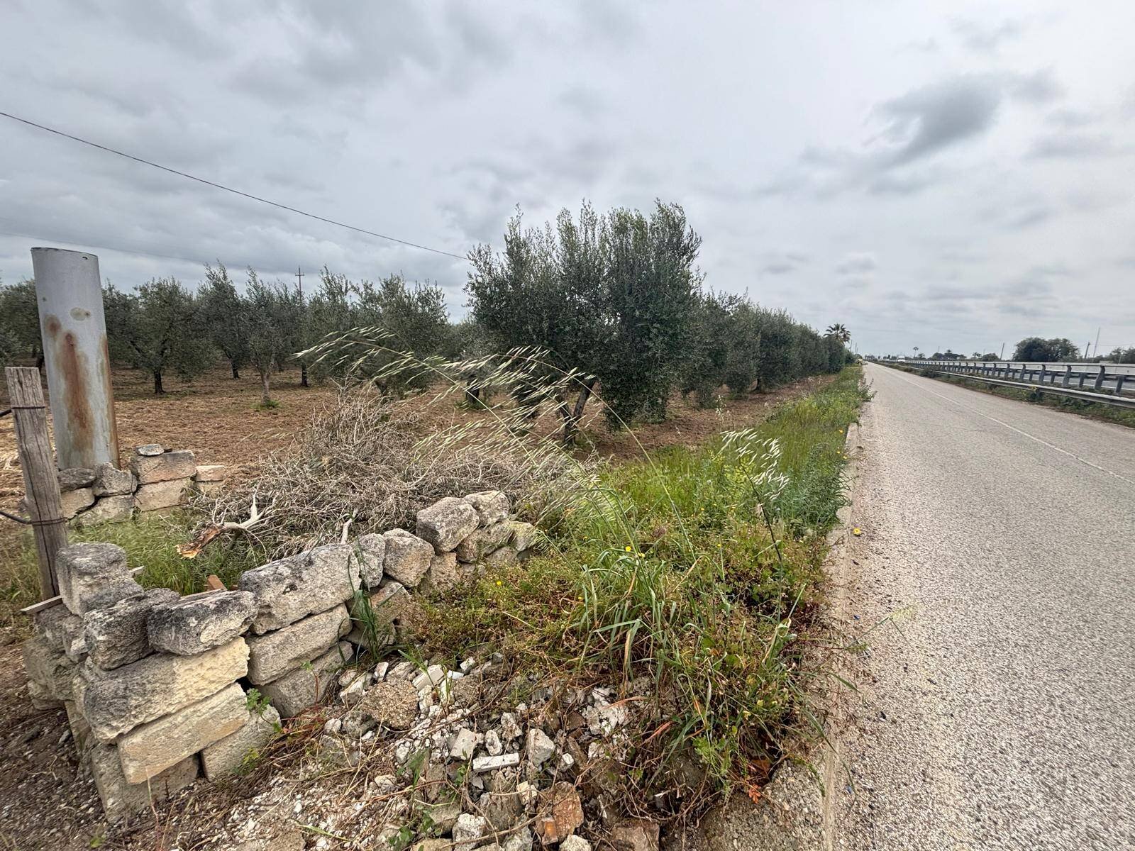 Foto 1 - Agricultural land Contrada Pantanello, Massafra - photo 1