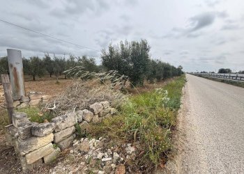 Foto 1 - Agricultural land Contrada Pantanello, Massafra - photo 1