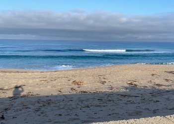 Foto 13 - Bilocale via mare, Badesi - foto 13