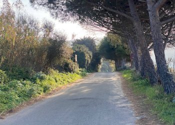 Foto 13 - Bilocale via mare, Badesi - foto 13