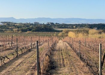 Foto 14 - Bilocale via mare, Badesi - foto 14