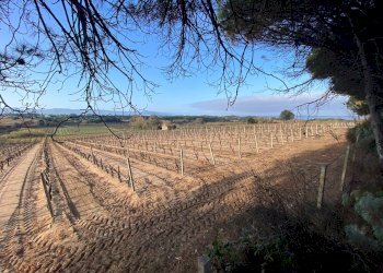 Foto 15 - Bilocale via mare, Badesi - foto 15