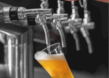 Foto 3 - Commercial Activity Altopiano della Vigolana - photo 3