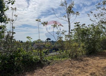 Giardino - Villa Strada provinciale 49/II, Acireale - foto 8