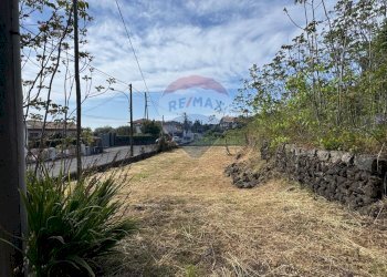 Giardino - Villa Strada provinciale 49/II, Acireale - foto 42