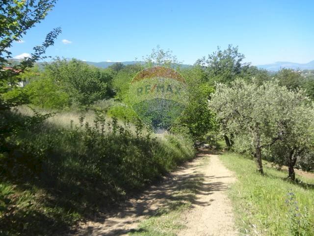 Giardino - Terreno edificabile contrada Sant'Angelo
 
28, Casacanditella - foto 2