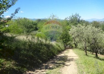 Giardino - Terreno edificabile contrada Sant'Angelo
 
28, Casacanditella - foto 2