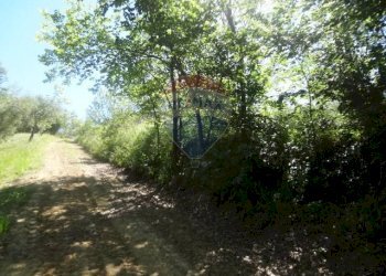 Giardino - Terreno edificabile contrada Sant'Angelo
 
28, Casacanditella - foto 9