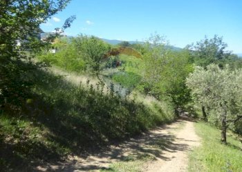 Giardino - Terreno edificabile contrada Sant'Angelo
 
28, Casacanditella - foto 21