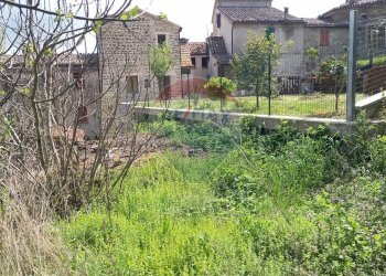 Giardino - Semi-detached house Località Capo di Rio
 
8, Cingoli - photo 11