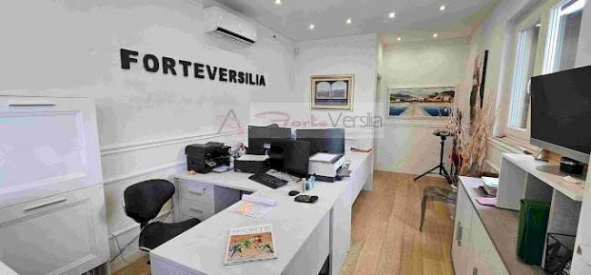 Foto 4 - Terreno edificabile Forte dei Marmi - foto 3