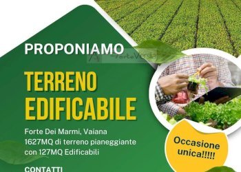 Foto 1 - Terreno edificabile Forte dei Marmi - foto 1